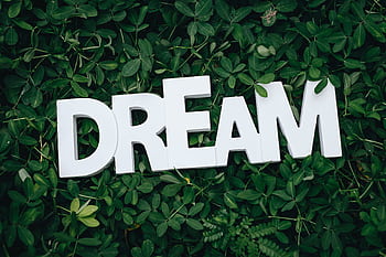 Word 'Dream' in white letters on lush green leaves, symbolizing growth and inspiration. HD wallpaper