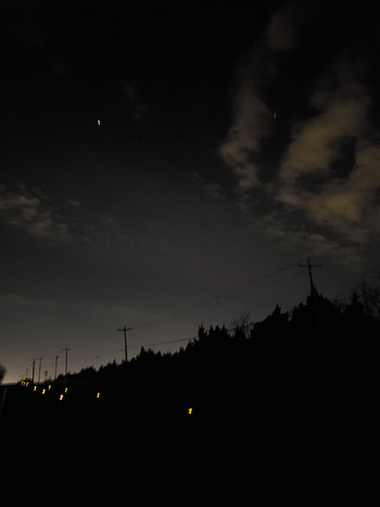 Late night walk, aesthetic, nature, outside, black, dark, purple HD phone wallpaper