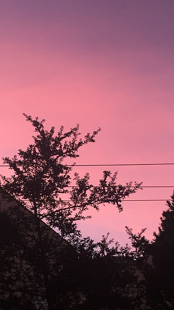 Preety Aesthetic, Atmosphere, Aesthetic HD phone wallpaper