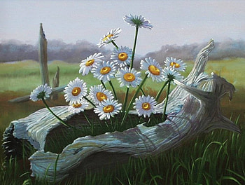White Daisies, art, log, field HD wallpaper