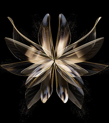 Mi Fold 2, art, petal HD phone wallpaper
