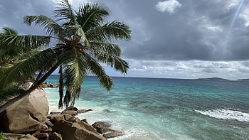 Tropical storm incoming, La Digue - Seychelles, stones, coast, sea, palm tree, clouds, sky, rocks HD wallpaper