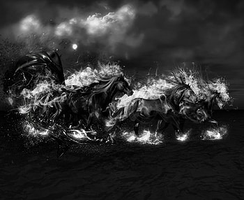 Ink Horses, horses, animals, ink, black and white HD wallpaper