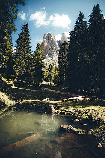 Nature, Rivers, Trees, Mountains, Rocks, Spruce, Fir HD phone wallpaper