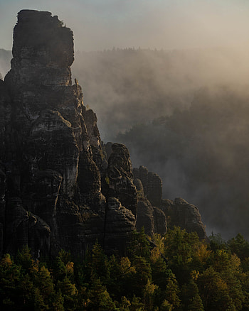 Landscape, Nature, Trees, Rock, Vertex, Top, Fog HD phone wallpaper