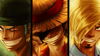 Roronoa Zoro and Sanji, Monkey D. Luffy HD wallpaper