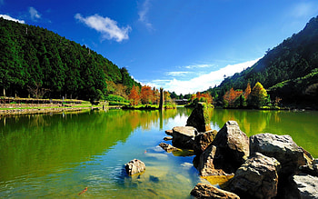 Lake, nature, forest, green HD wallpaper