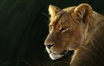Art, Predator, Big Cat, Sight, Opinion, Lioness HD wallpaper