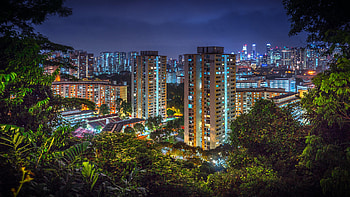 Cities, Trees, Night, City, Skyscraper, Building HD wallpaper