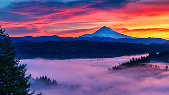 Sunrise at Mt. Hood Oregon, mountain, fog, colors, clouds, landscape, sky, forest, usa HD wallpaper