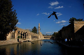 the lake with the fish, urfa, turkey, city, lake HD wallpaper