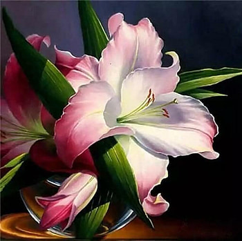Amaryllis, Flowers, Buds, Lily, Pink HD wallpaper