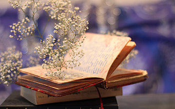 190 book backgrounds, , Bookshelf aesthetics, Bookish vibes HD wallpaper