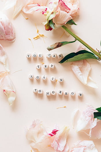 Flat lay with flowers and block letters spelling 'You Can Try Again Tomorrow'. HD phone wallpaper