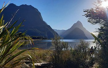 Mitre Peak, Milford Sound, NZ, sea, hills, plants, new zealand, sky HD wallpaper