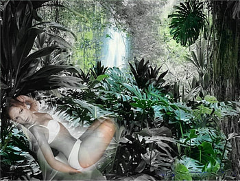 Jennifer Lopez, sexy babe, woods HD wallpaper