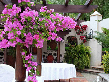 beautiful patio, beautiful, patio, architecture, houses HD wallpaper