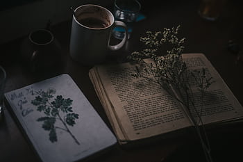 Moody still life of vintage book, coffee mug, and dried flowers on a dark wooden table. HD wallpaper