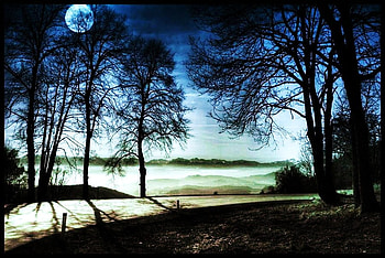 Silver bath, moon, light, silver, trees, water, ocean, beach HD wallpaper