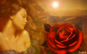 Timeless Beauty, rose, desert, art, woman HD wallpaper