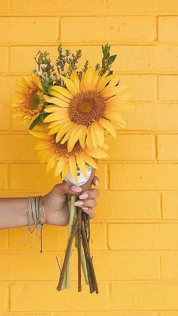 Yellow Aesthetic, Yellow Sunflower HD phone wallpaper