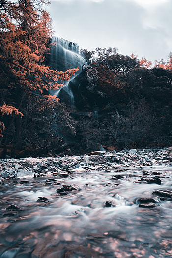 Nature, Water, Rivers, Trees, Stones, Waterfall, Break, Precipice HD phone wallpaper