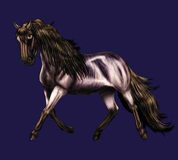 Black Horse Trotting, rt, j, hrh, fgser, tyj, hh HD wallpaper