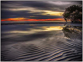 Ripples of dawn, dawn, shore, trees, rippled sand, water, grey and coral sky, reflections, ocean HD wallpaper
