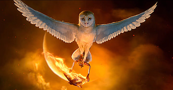 Legend of the Guardians, Owls of GaHoole, GaHoole film review, animated adventure HD wallpaper