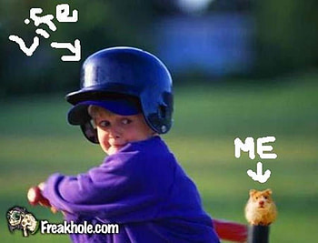 Life Takes A Swing, funny, humor, life HD wallpaper