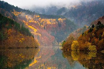 Teshel Lake, Rhodopy mountain, graphy, fall, forests, mountain, mist, lakes, fog, reflection, bulgaria, autumn HD wallpaper