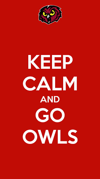 Go Owls - Temple Owls HD phone wallpaper