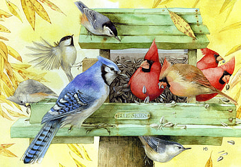 MY SWEET FEATHERED FRIENDS, chickadees, jay, cardinal, sweet birds HD wallpaper