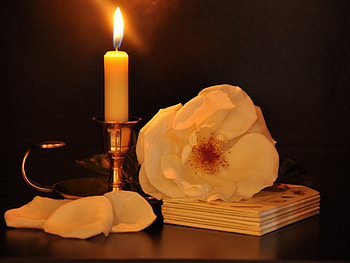 Still life, vandle, book, flower HD wallpaper