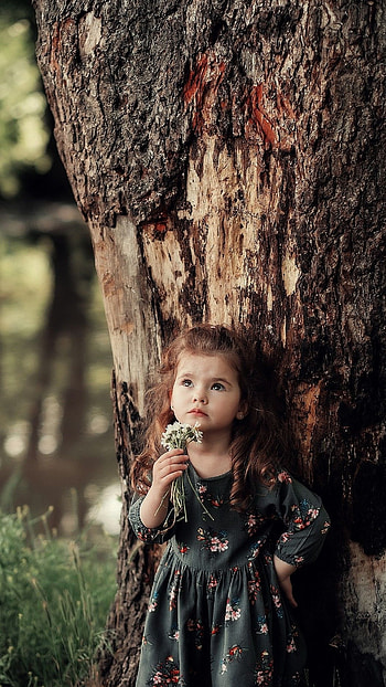 Girls Vs Boys, Cute Girl, tree HD phone wallpaper