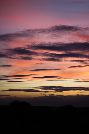 Nature, Sky, Twilight, Clouds, Horizon, Dark, Dusk, Outlines HD phone wallpaper