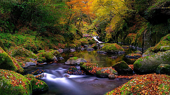 Landscape, Nature HD wallpaper