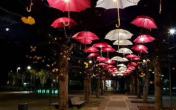 Happy Birtay, Latvia!, lights, park, night, umbrellas, benches, Latvia HD wallpaper