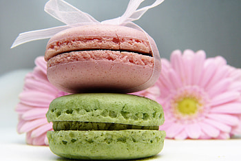Macaron, dessert, flowers, close up, food HD wallpaper