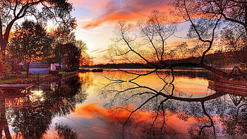 Autumn Lake Reflection, reflection, clouds, trees, autumn, nature, lake HD wallpaper
