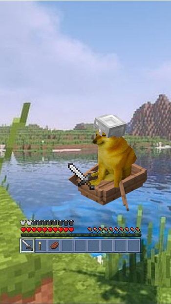 Chiling Doge, Meme, chmury, polskie, Polska HD phone wallpaper