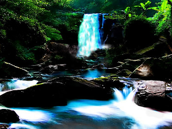 Breathe, natural, nature, digital, manipulated HD wallpaper