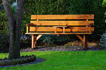 A serene wooden bench in a leafy, sunlit garden perfect for relaxation and solitude. HD wallpaper