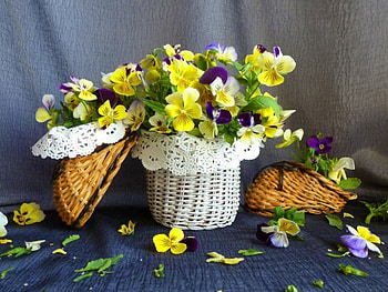 Still life, colorful, bouquet, vase, beautiful, lace, pansies, summer, basket, delicate, pretty, freshness, flowers, violets, lovely, harmony HD wallpaper
