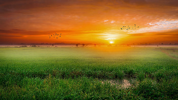 Green field, sunset, nature, landscape HD wallpaper