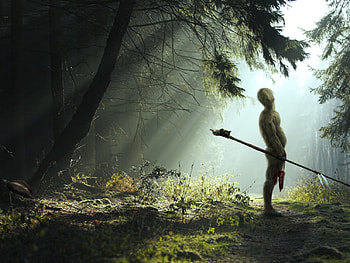 Forest_Warrior, man, forests, nature, jungle, grass, greem, warrior, tree HD wallpaper