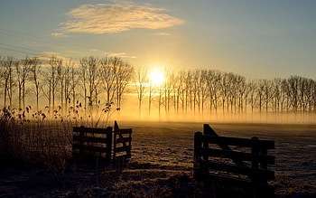 Landscape, Nature, Sunset, Field, Fence HD wallpaper