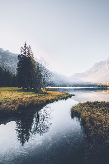 Nature, Rivers, Trees, Mountains, Fog HD phone wallpaper