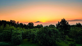 Spring Sunrise, New England, morning, landscape, trees, colors, sky, usa HD wallpaper