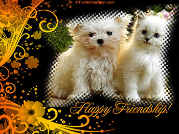 Friends, dogs, cats, puppies, kittens HD wallpaper